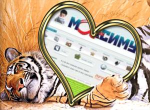 Даниэль Билинсон
Генеральный директор издательского дома "Maximum LTD". Главный редактор сети еженедельников "Максимум".
