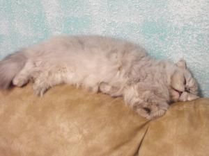 отдых в домашней непринужденной обстановке