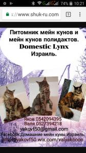 Мы с Вами.