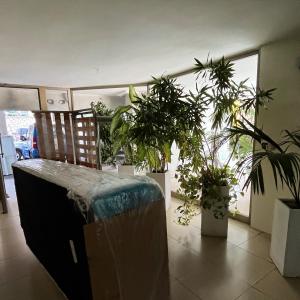 מחפשים הובלה קטנה או עוברים דירה ? צריך הובלה רגע לרגע? תזמינו עכשו 054-6200-456 
rambovovalot